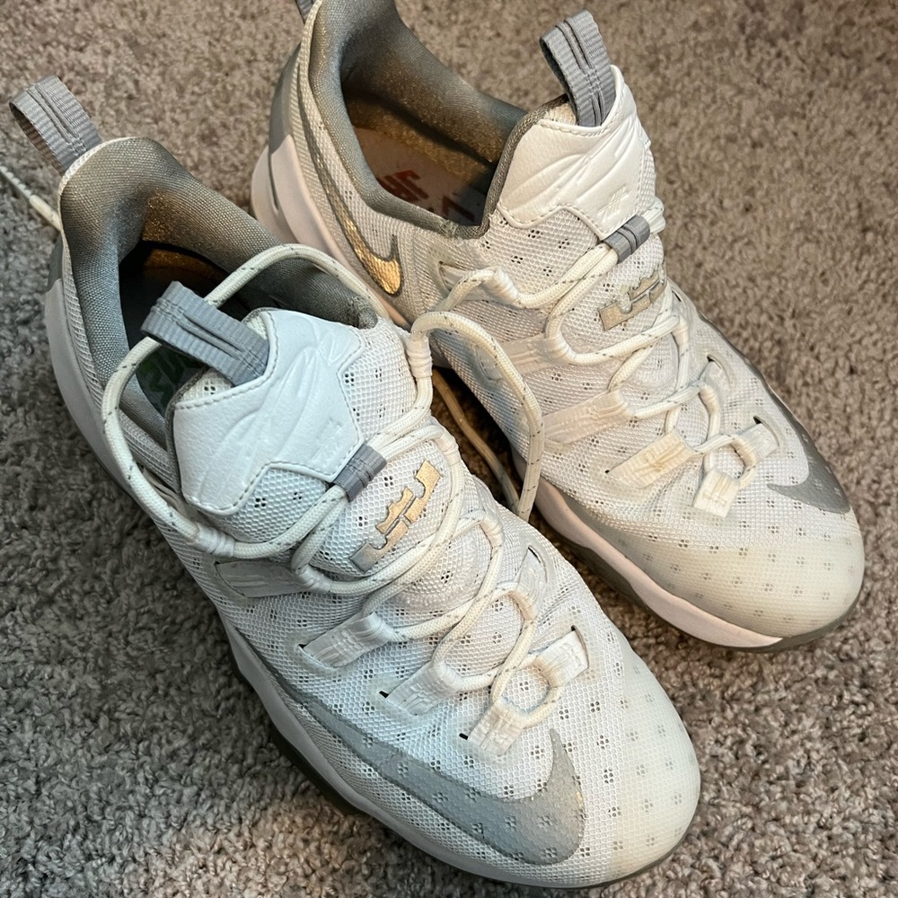 2015 Lebron James Nikes